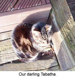 Our darling Tabatha